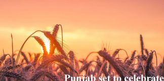 Punjab Culture Day