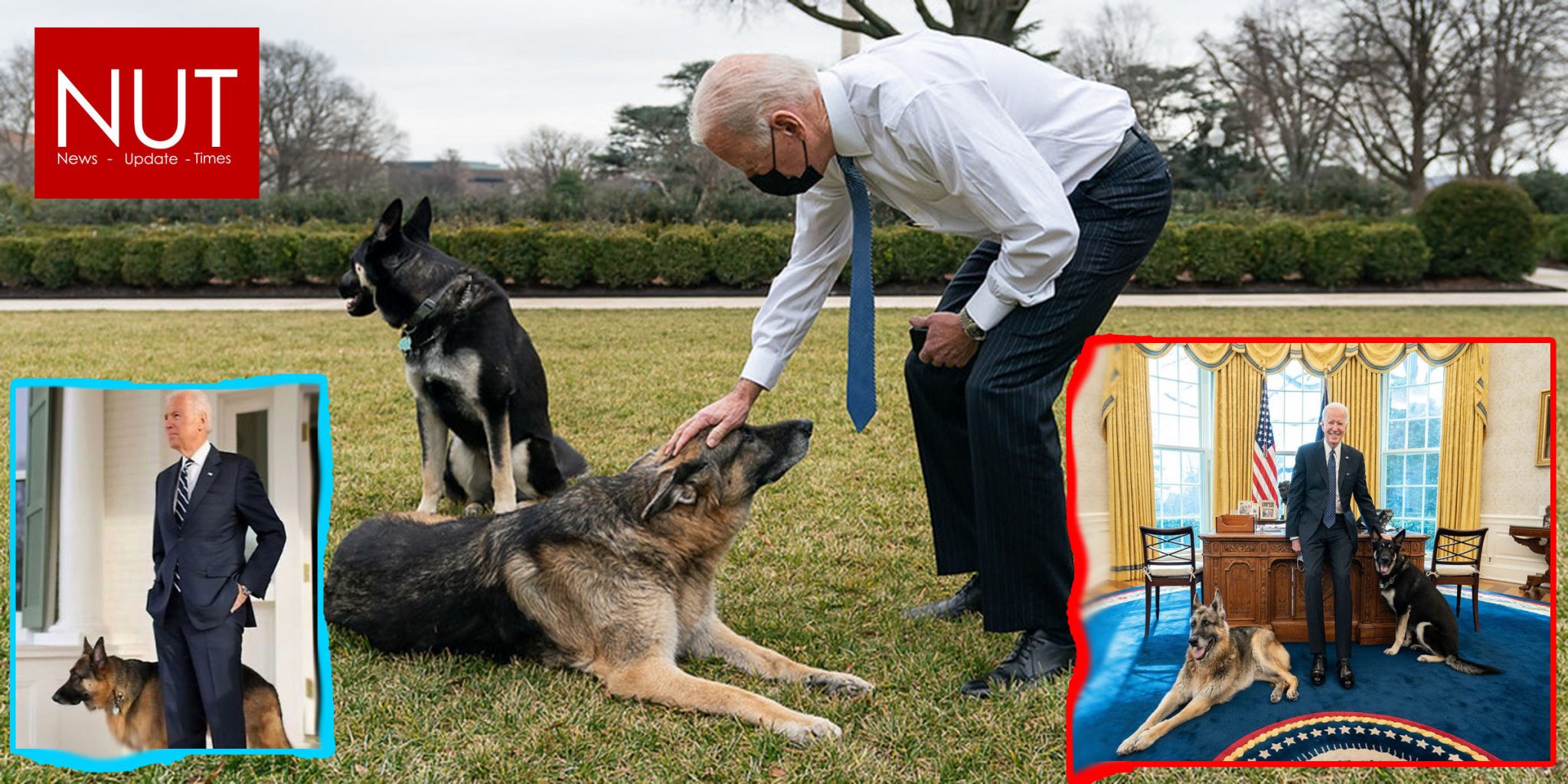 presidential dog trainer