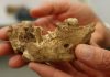 oldest human remains ever found
