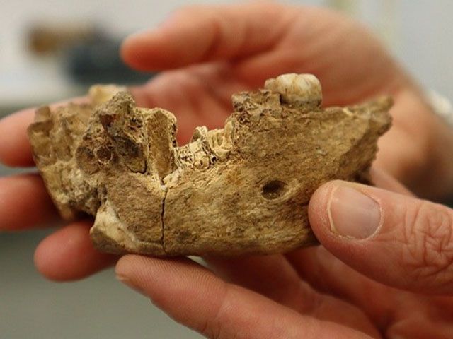 oldest human remains ever found