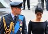 harry and meghan daily mail