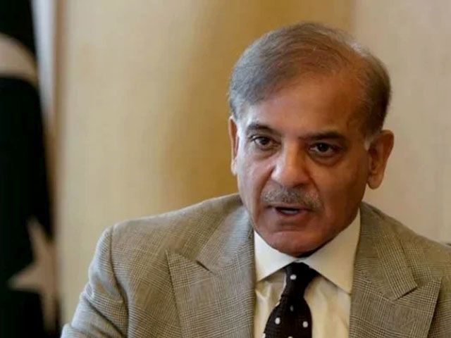 shahbaz sharif proposes reserved seats for overseas pakistanis
