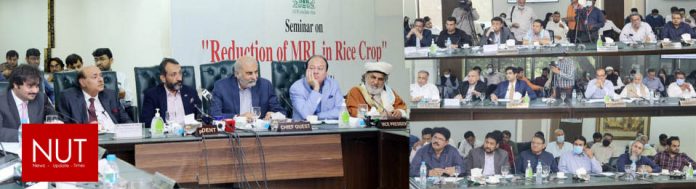 Pakistan may face hurdles in rice exports to EU because of excessive use of pesticides