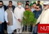 TopCity-1 carries out urban afforestation in Islamabad