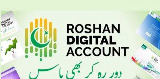 Roshan Digital Accounts: Overseas Pakistanis remit $1.6b
