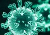 Gene editing blocks virus transmission in human cells