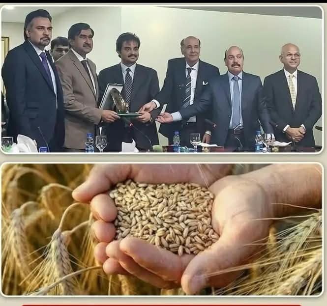 Pakistan to soon have hybrid wheat courtesy GUARD Agri: Shahzad Malik